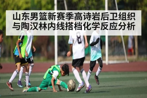 山东男篮新赛季高诗岩后卫组织与陶汉林内线搭档化学反应分析